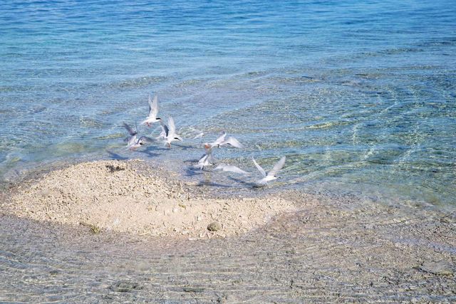 冒険好きなフォトグラファーが「もっと早く行けば良かった」と、西表島