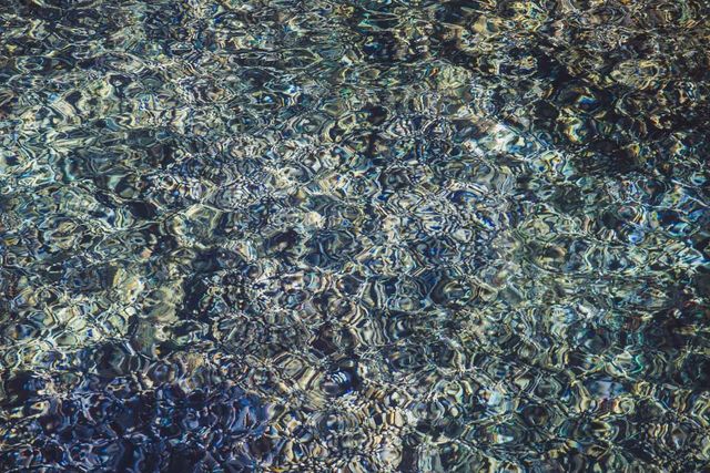 冒険好きなフォトグラファーが「もっと早く行けば良かった」と、西表島