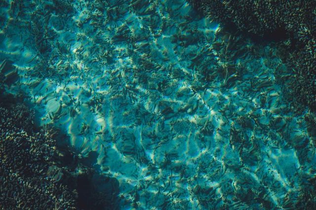 冒険好きなフォトグラファーが「もっと早く行けば良かった」と、西表島