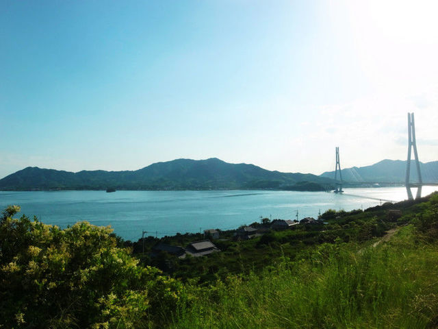 「みかん酵母パン」が、島を元気にする