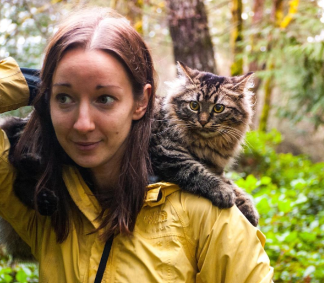 2匹の捨て猫を拾い、翌日から一緒に旅へ出た