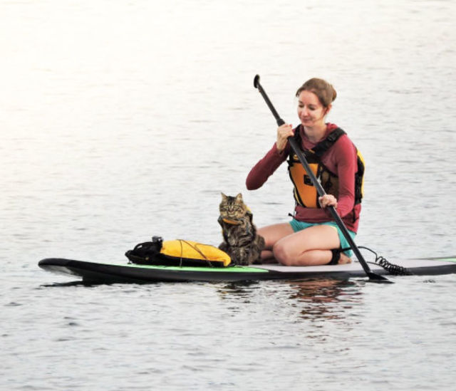 2匹の捨て猫を拾い、翌日から一緒に旅へ出た