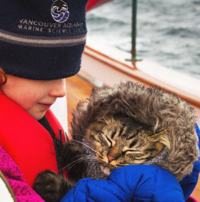 2匹の捨て猫を拾い、翌日から一緒に旅へ出た