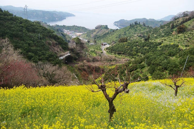 「四国11日間・無一文の旅」。最後に見た、栗城史多さんからのメッセージ