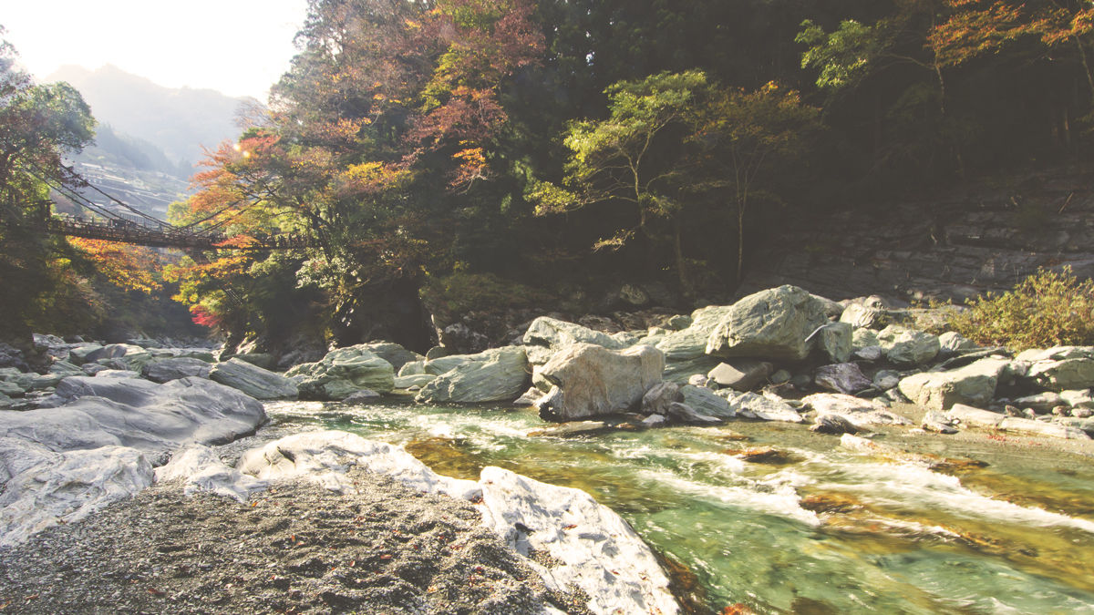 「努力しすぎんほうがええんよ」。徳島のお父さんが教えてくれたこと
