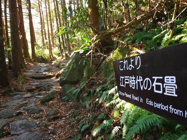 クラフトビール五十三「注ぎ」の旅。いきなり最大の難所、箱根へ!