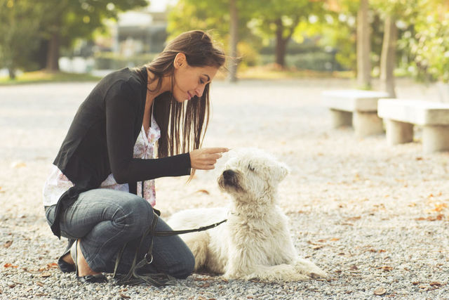 「犬のいない人生なんて無意味だ」という人のキモチ。