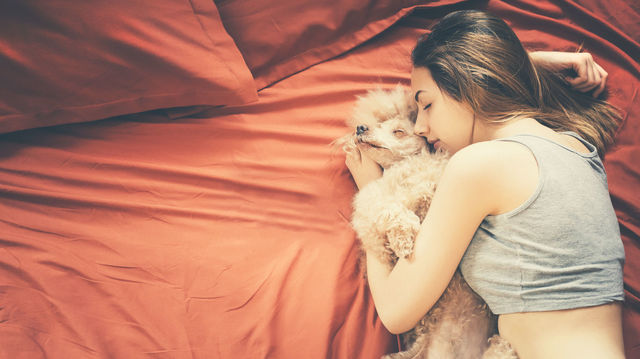 「犬のいない人生なんて無意味だ」という人のキモチ。