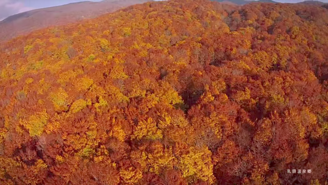 温泉はほとんど映ってないのに、とにかく温泉に行きたくなる「秋田」の絶景動画
