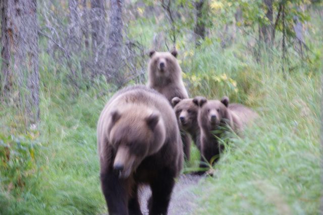 アラスカに流れる「もうひとつの時間」