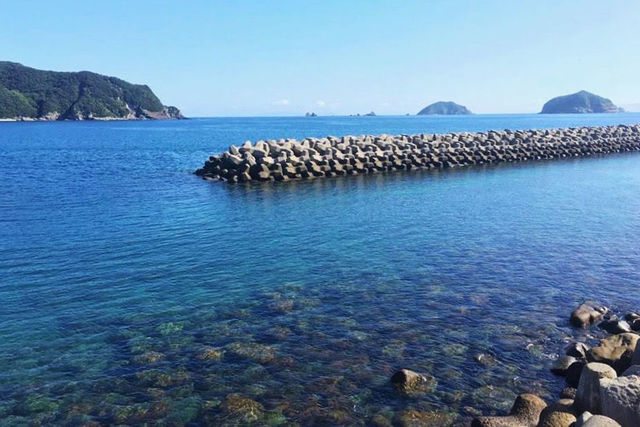 「継ぎたい」「継いで欲しい」 「でも、継がせられない」。ある離島の物語