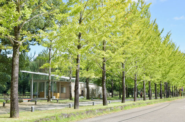 緑いっぱいの公園に佇むカフェ。岐阜「KAKAMIGAHARA STAND」
