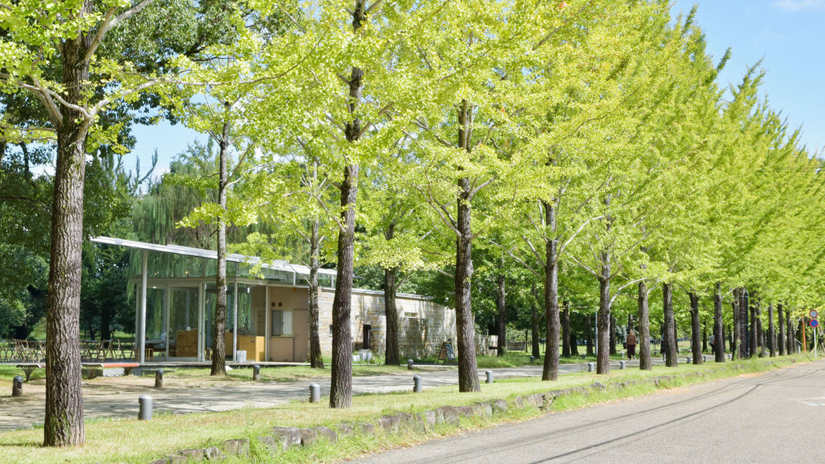 緑いっぱいの公園に佇むカフェ。岐阜「KAKAMIGAHARA STAND」