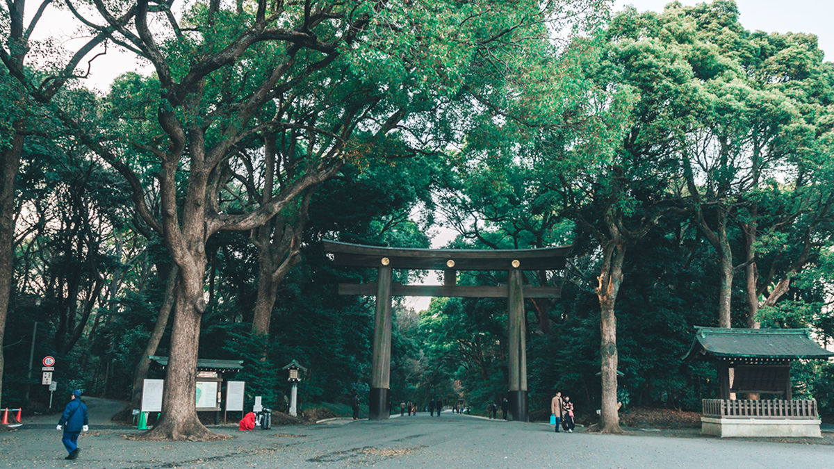 神主ラッパーに学ぶ。日本人が知っておくべき「森の創り方」