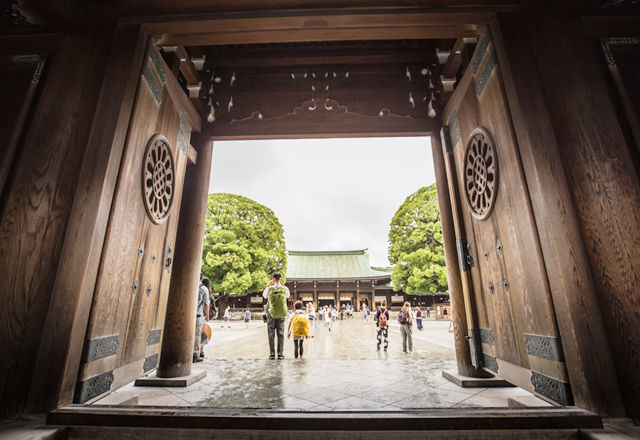 神主ラッパーに学ぶ。日本人が知っておくべき「森の創り方」