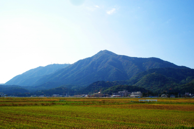 神様と生きる村人たちがつくる「幻の酒」を飲んでみたい。