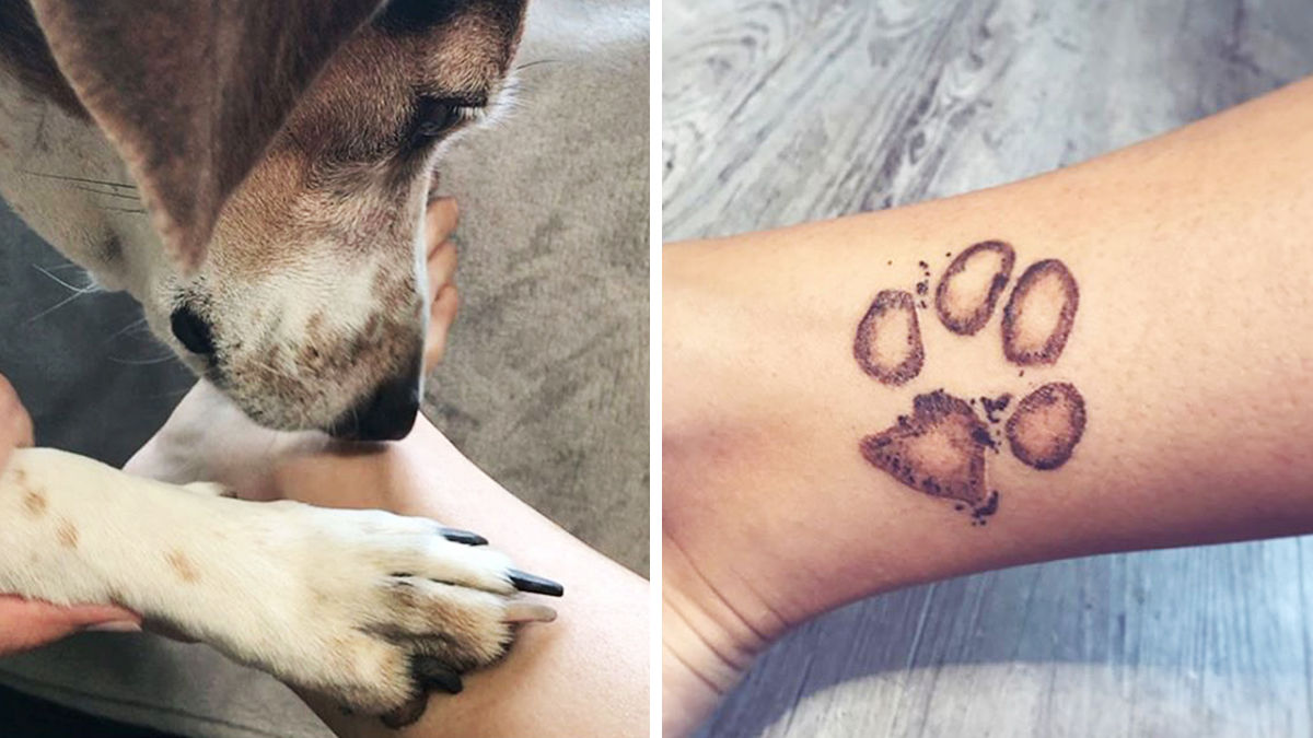 愛犬の 足跡 を タトゥーにする人急増中 Tabi Labo