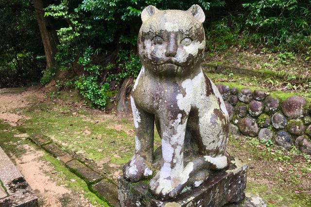 丹後峰山で、狛犬ならぬ「狛猫」があなたを待っている。