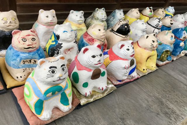 丹後峰山で、狛犬ならぬ「狛猫」があなたを待っている。