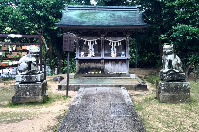 丹後峰山で、狛犬ならぬ「狛猫」があなたを待っている。