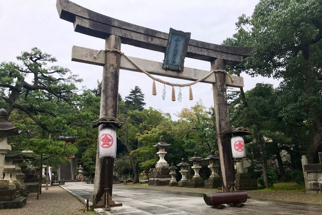 丹後峰山で、狛犬ならぬ「狛猫」があなたを待っている。