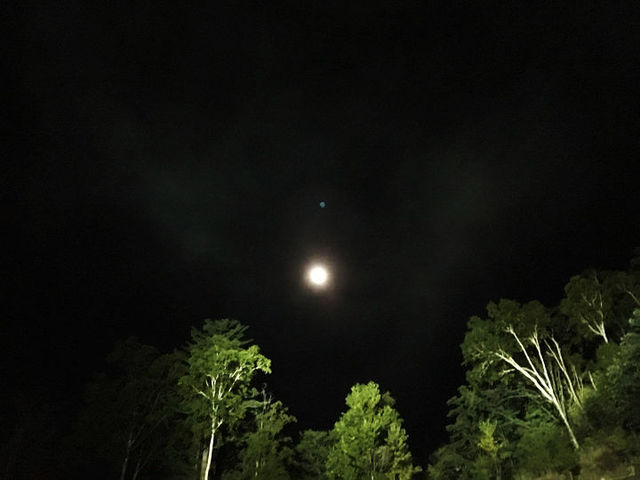 阿智村の星空に、大事なものを見つけた夜