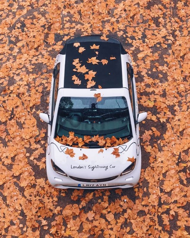 ロンドンに観光ガイド付き「レンタカー」が登場