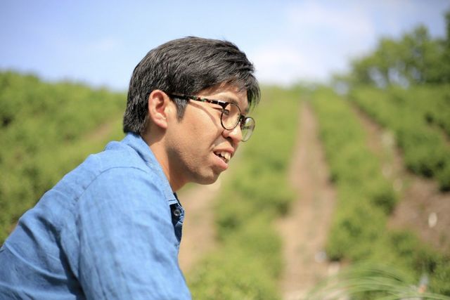 決断したのは16歳。お茶に人生を捧げた理由