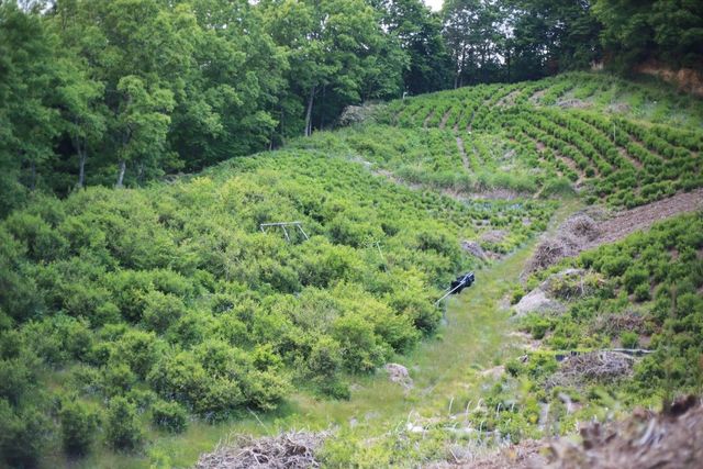 東京での経験を「自然農園」で活かす。遅すぎることなんてない!