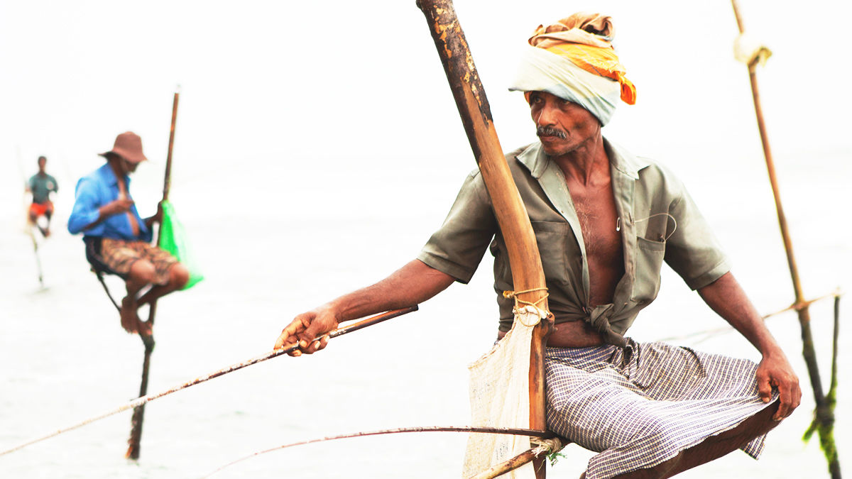 スリランカ伝統漁 スティルトフィッシング とサンセット Tabi Labo