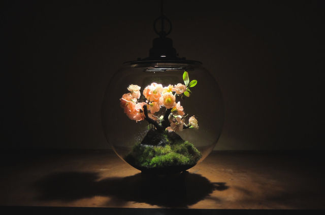 SFのような世界が表現された「植栽照明」。