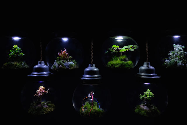 SFのような世界が表現された「植栽照明」。