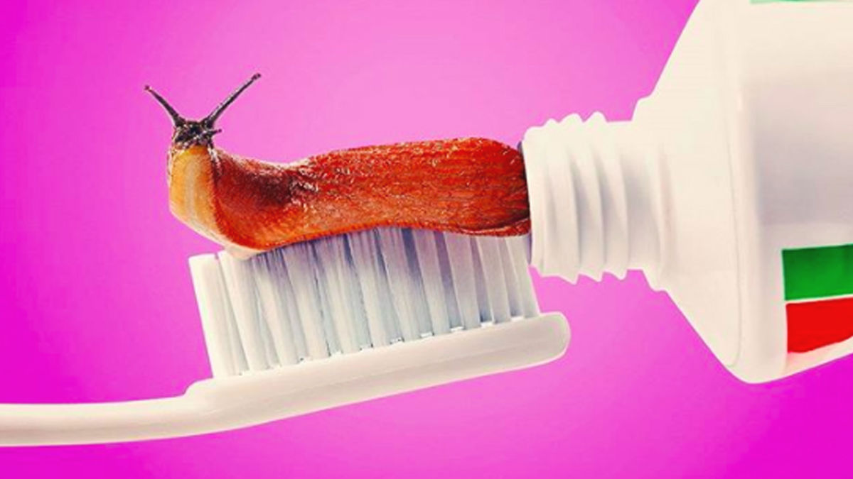 ウッ…ちょっと気持ち悪い。でもなぜか見ちゃう「合体」。