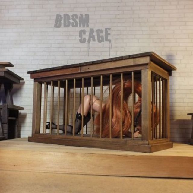 禁断のBDSMバービー嬢