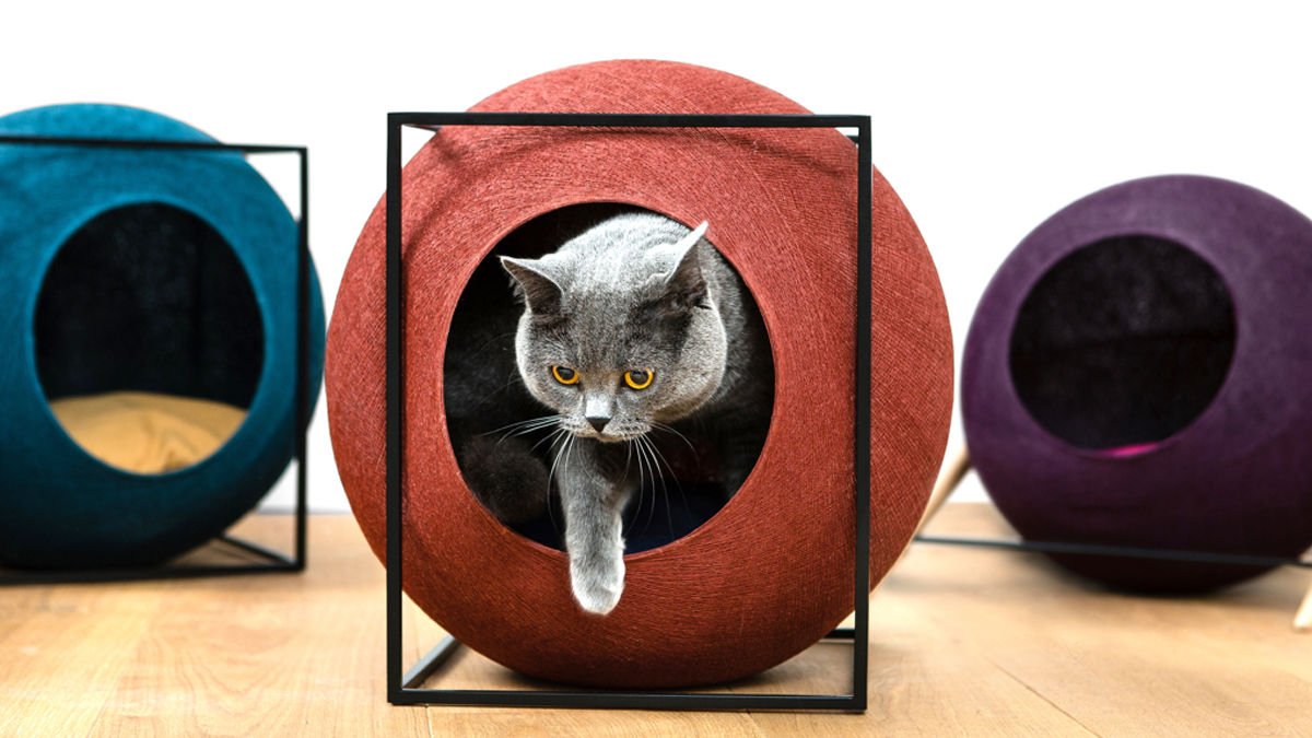 このキャットハウスがあれば、愛猫と暮らすのがもっと楽しくなる。 | TABI LABO
