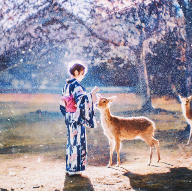 日本の春に足を踏み入れたら「絶景」はもう探すものじゃない。