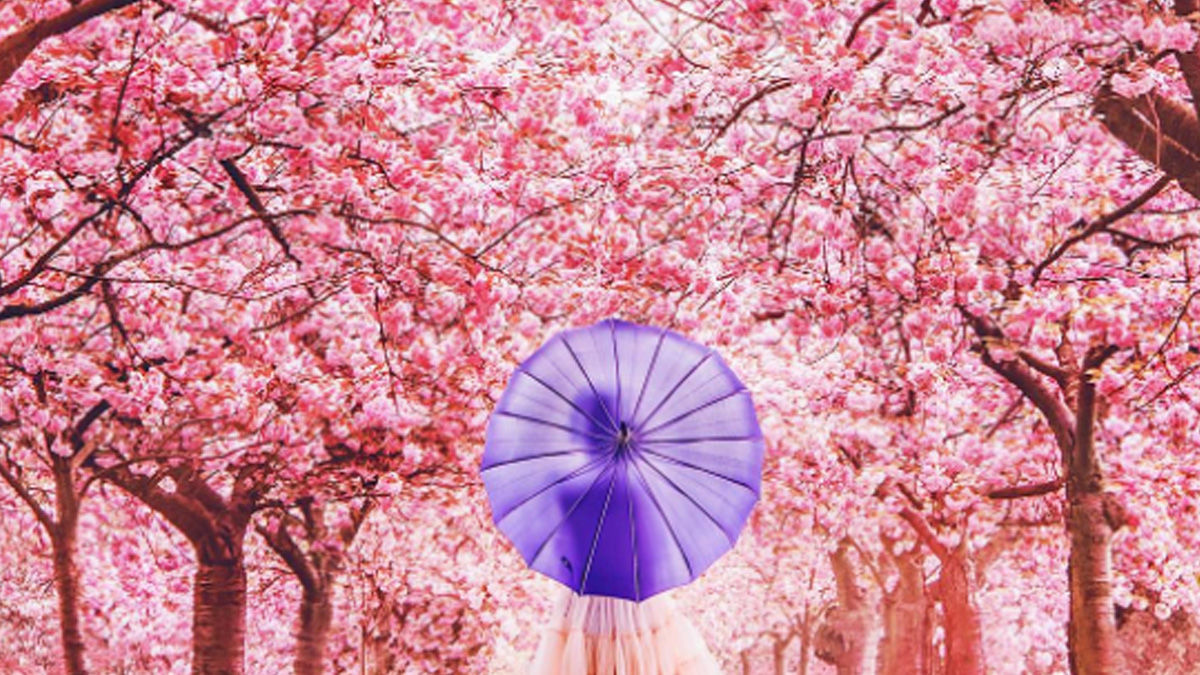 日本の春に足を踏み入れたら「絶景」はもう探すものじゃない。