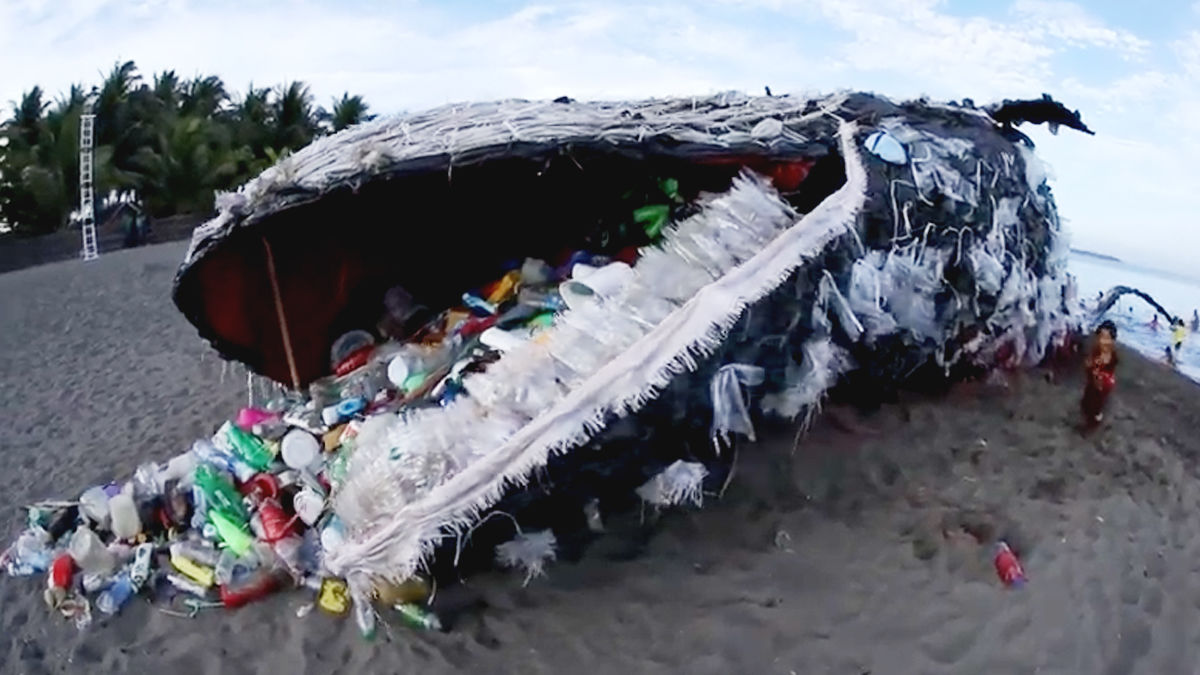フィリピンの砂浜に打ち上げられた「クジラ」の悲痛なメッセージ