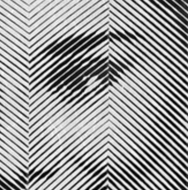Medium ca5d8dd8a4bee03761ef9111d2ff0d83bf3c73e5